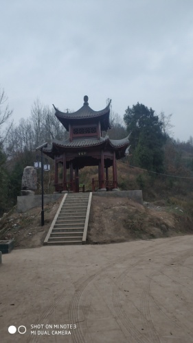 新华森林公园旅行图片 3