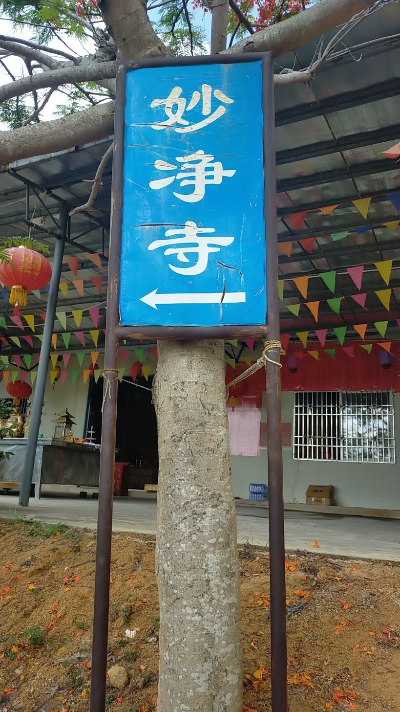 妙净寺实景照片