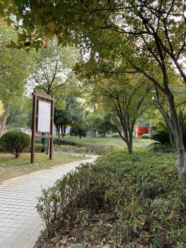 旭日公园旅行图片 1