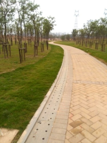 花园湾广场旅行图片 3