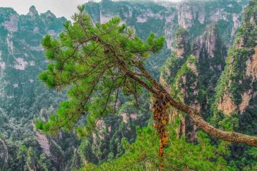 郭洞景区-郭洞古生态村旅行图片 2