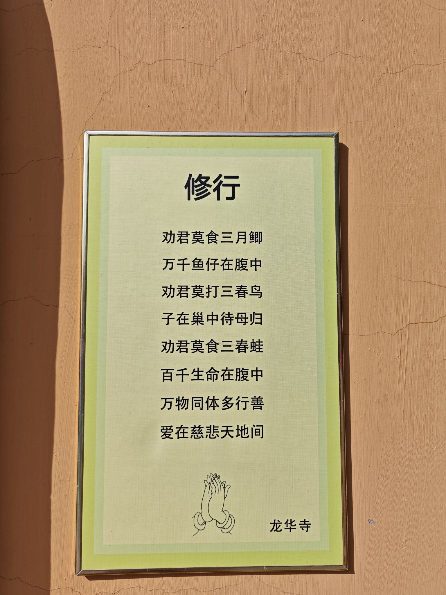 龙华寺实景照片