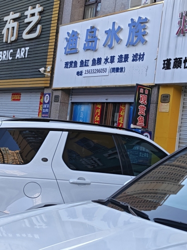 定州渔岛水族(缔景城店)