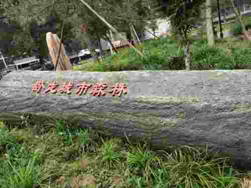 卧龙城市森林绿地旅行图片 3