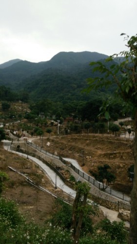 田头荔枝公园旅行图片 3