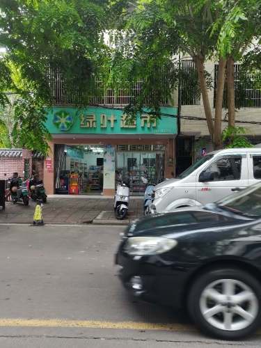 绿叶超市(振华路店)