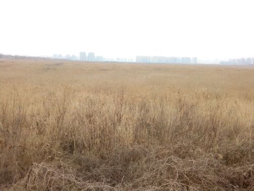 偏桥沟主题文化园旅行图片 3
