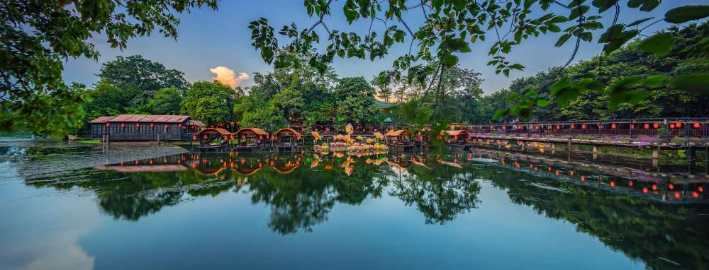 荔湾湖公园景点图片