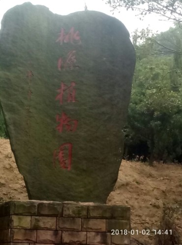 桃源植物园旅行图片 1