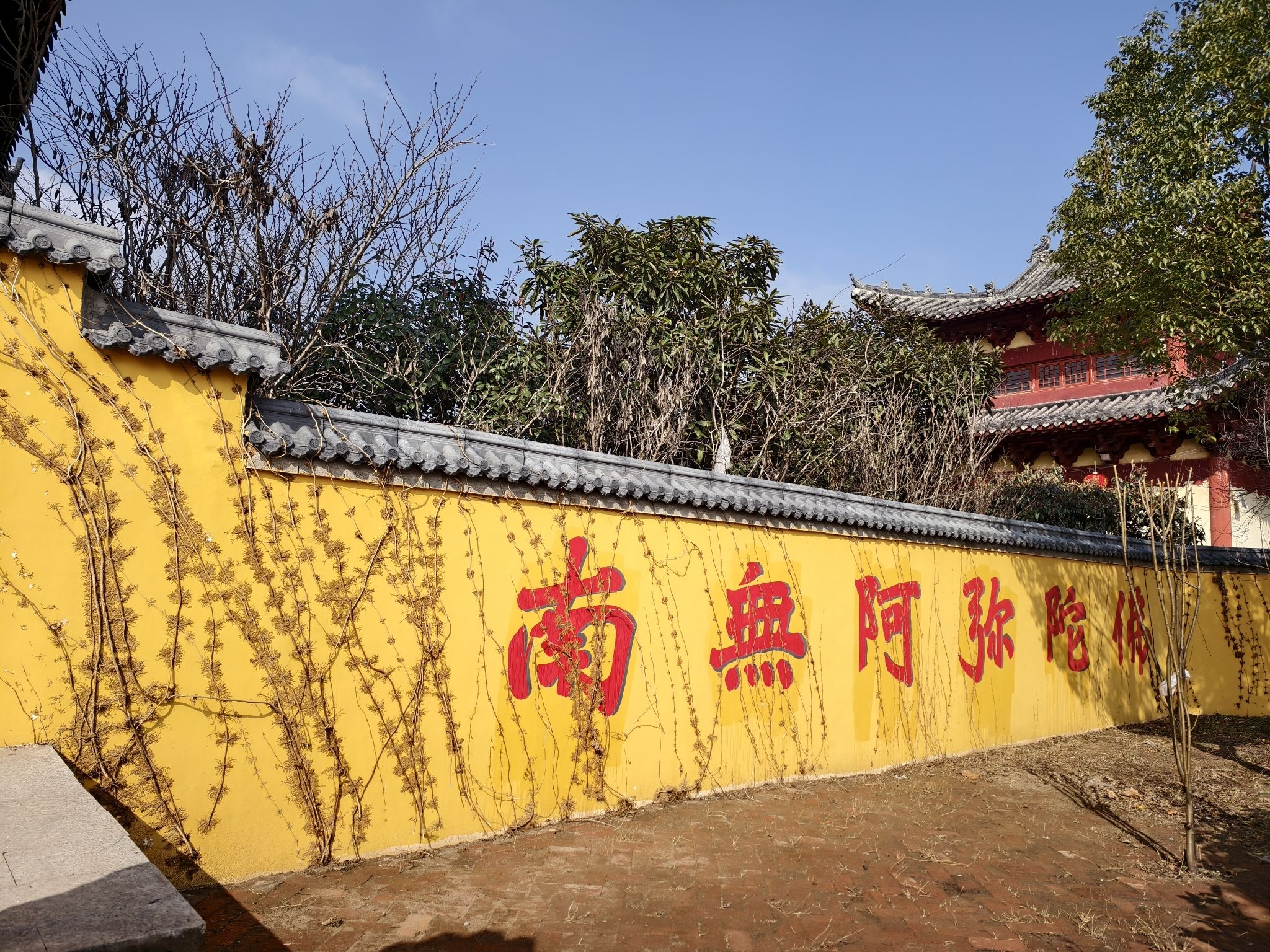 因缘寺实景照片
