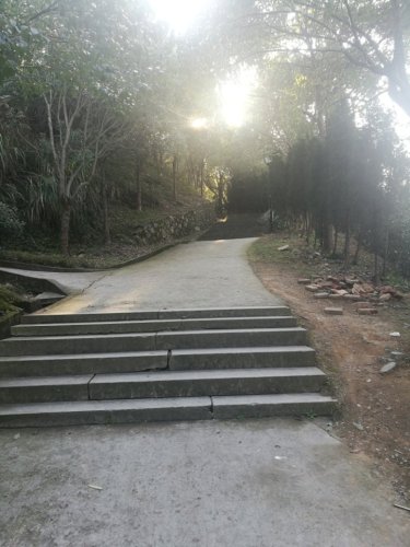 狮子山公园旅行图片 3