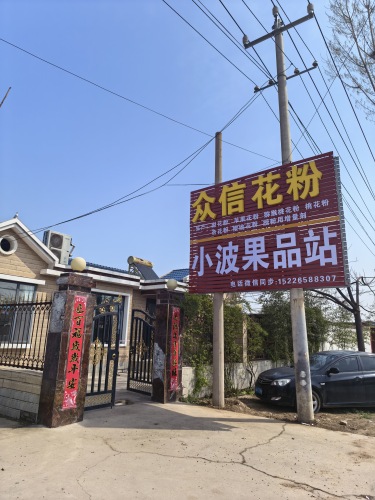 众信花粉