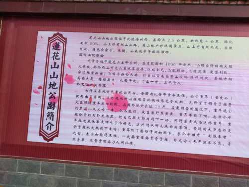 莲花山山地公园旅行图片 1