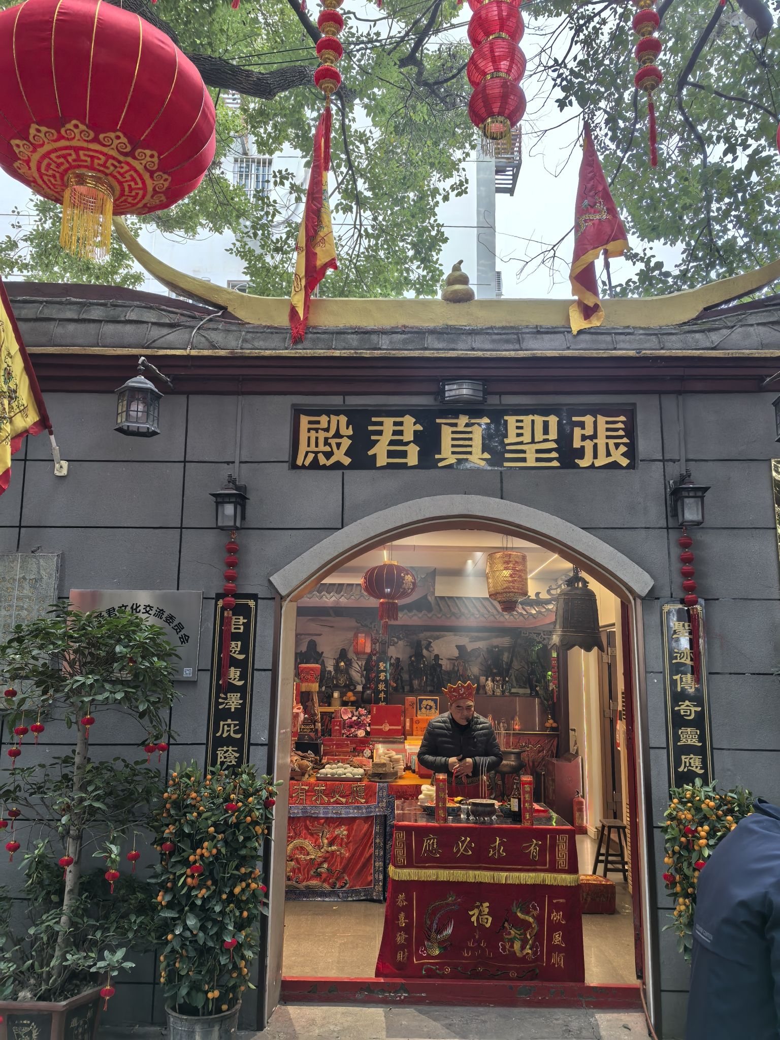 张圣真君殿实景照片