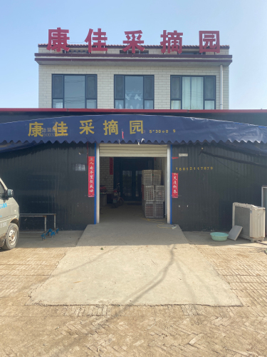 康佳采摘园