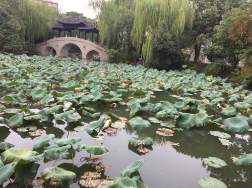 鹿湖园旅行图片 2