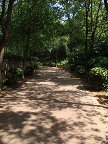 益阳北峰山森林公园旅行图片 2