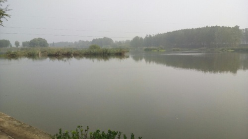 武河湿地公园旅行图片 1