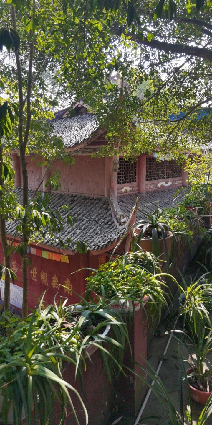 玉佛寺实景照片