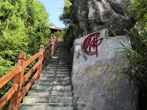 千佛山景区旅行图片 1