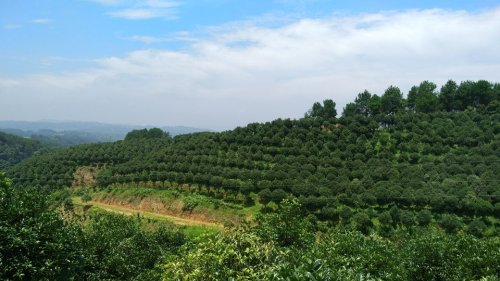 农业公园旅行图片 3