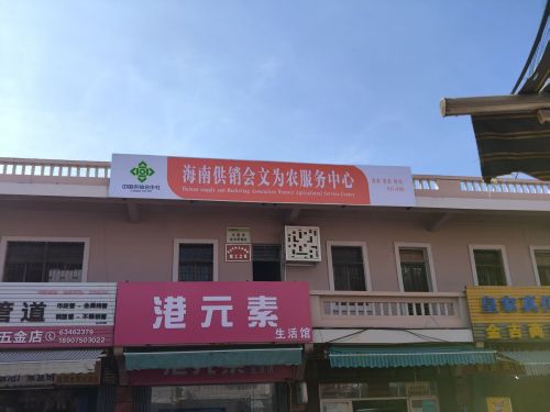 文昌市会文供销社