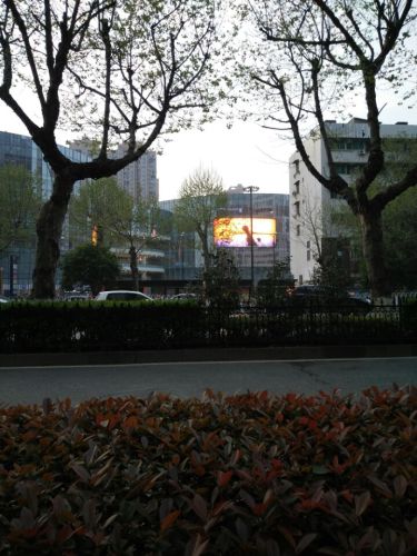 阅马场旅行图片 1