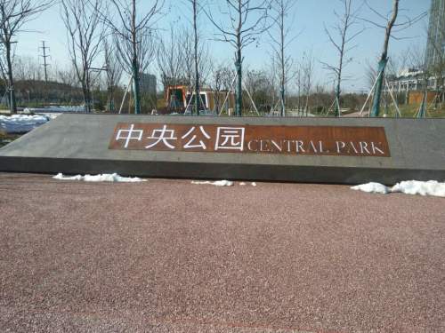中央公园旅行图片 2