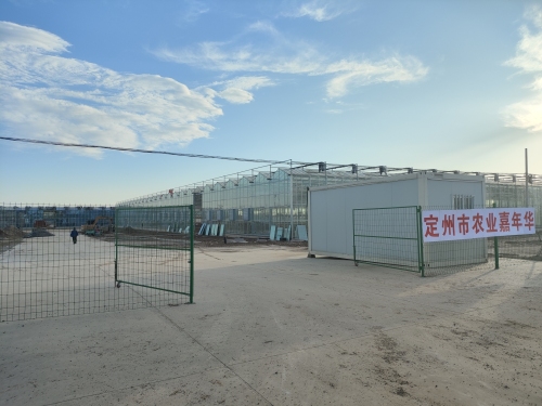 定州市农业嘉年华