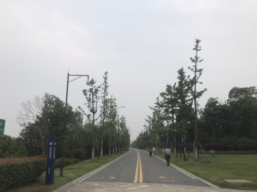 扬子津古渡体育休闲公园旅行图片 1