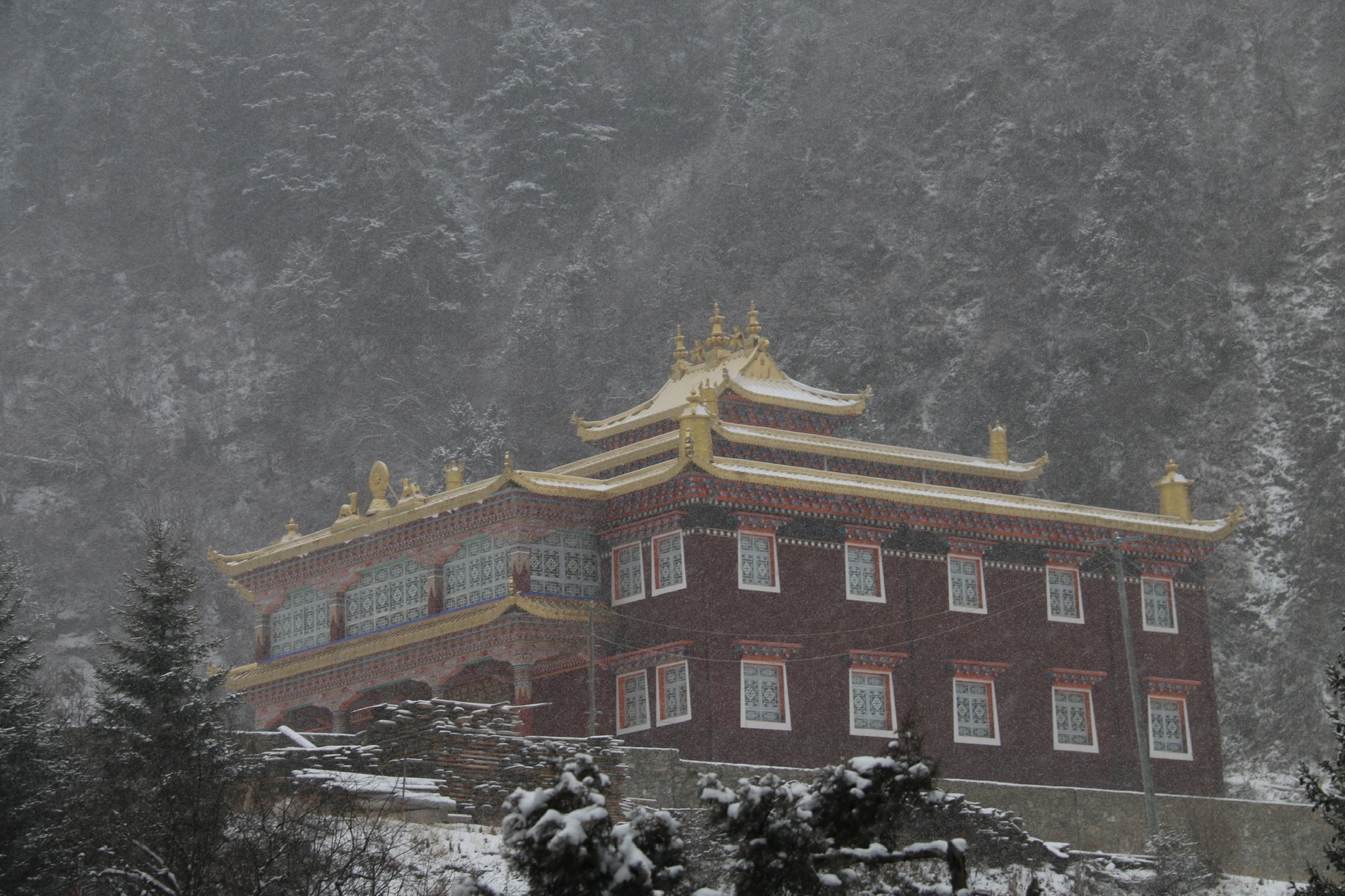 杨来寺实景照片