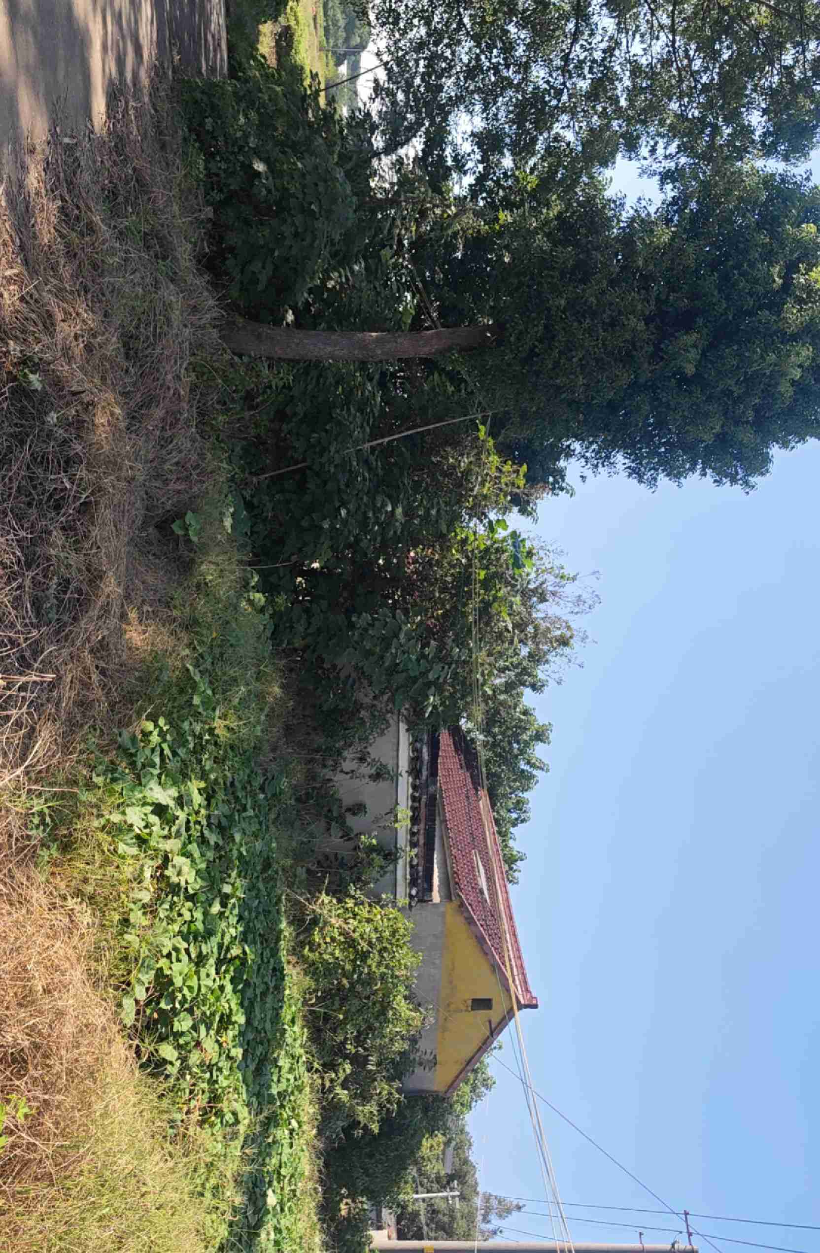丁庄村菩提庵庙实景照片