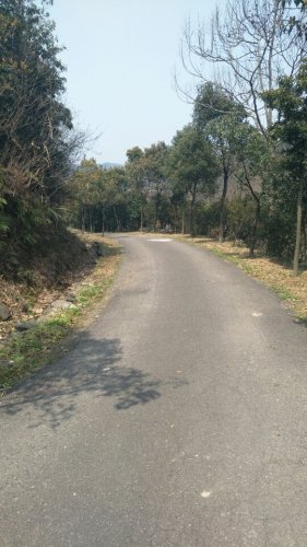 东海大峡谷国家森林公园之茶人谷生态旅游区旅行图片 3