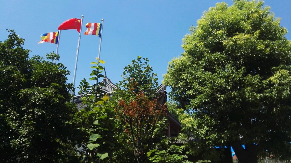 正法寺实景照片