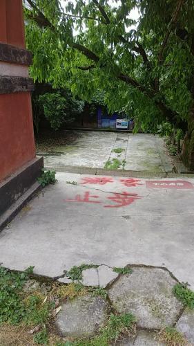 百丈湖旅行图片 3