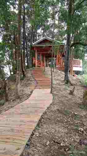 融安香杉公园旅行图片 2