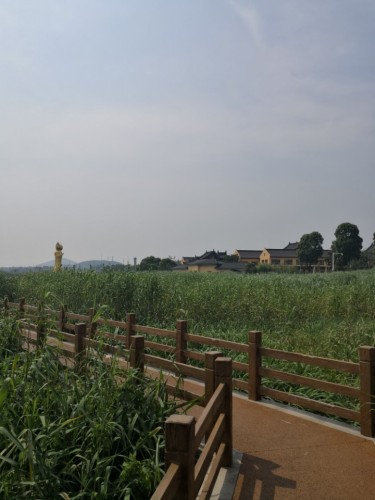 阳山荡公园旅行图片 2