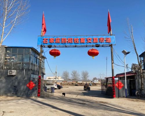 石家庄丽阳牲畜交易市场