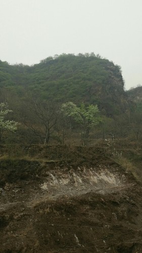 旭日瀑布旅行图片 3