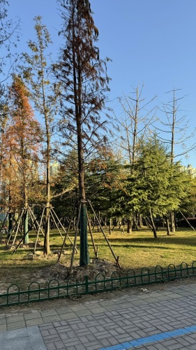 万茂湖公园