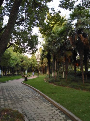 健康主题公园旅行图片 1