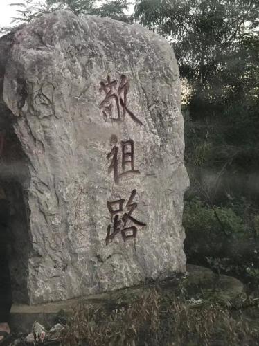 谢祖宝陵旅行图片 3