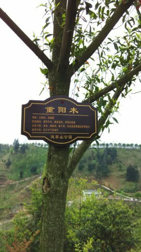 灵翠山公园旅行图片 2