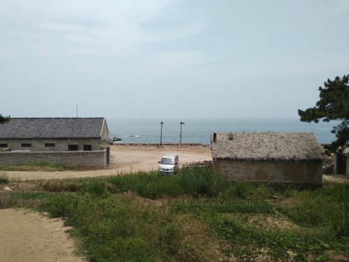 御海湾茶园景区旅行图片 1