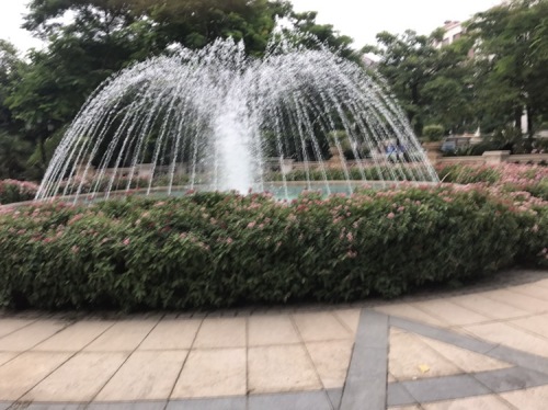 香江公园旅行图片 1