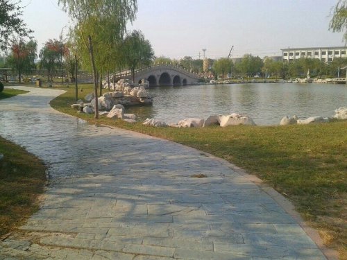 东明南华公园旅行图片 3
