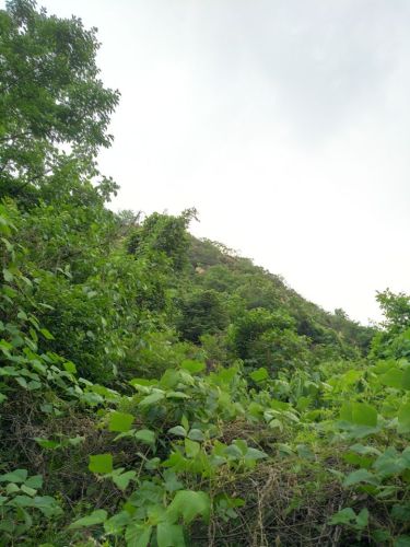 后杜北公园旅行图片 3