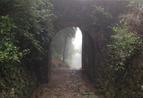 仙霞古道旅行图片 1