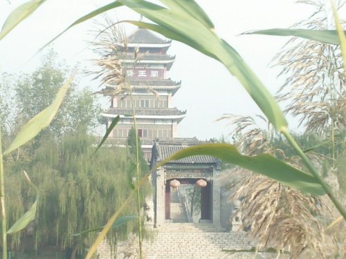 齐王阁旅行图片 3