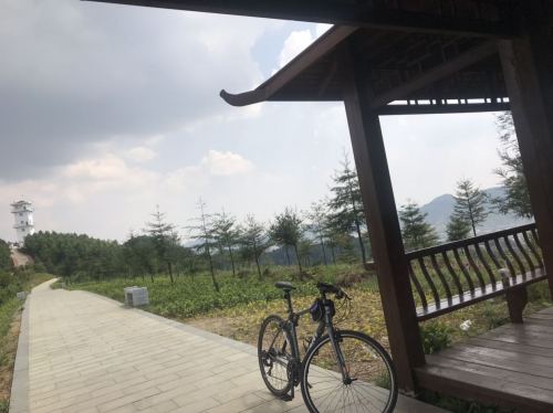 森林公园嘹望塔旅行图片 1